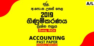 2019 A/L Accounting Past Paper | Sinhala Medium