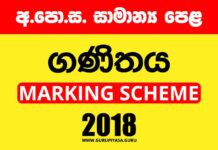 2018 OL Maths Marking Scheme-01